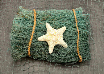 Blue Green Fishing Net (1 net approx. 4x9 feet) Fishing net for ocean displays art projects crafts & nautical themed parties! Beautiful pastel blue fishing net for any occasion! Copy right 2024 SeaShellSupply.com