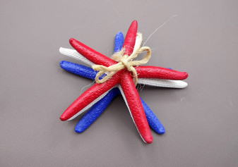 Red, white and blue Linckia Starfish (3 seastar approx. 5-6 inches) Copyright 2024 SeaShellSupply.com.