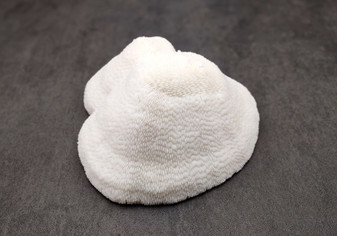 White Bowl Coral Cluster Halomitra Pileus (1 coral approx. 6-7+ inches) Large domed white coral. Copyright 2025 SeaShellSupply.com.