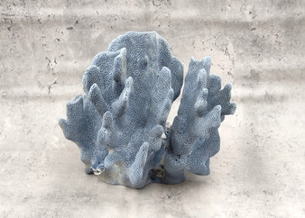 Blue Ridge Coral Cluster Heliopora Coerulea (1 coral 8.5L x 6.5D x 7H inches) Great Blue coral cluster for coastal home decor or display! Copyright 2026 SeaShellSupply.com.
