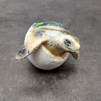 Sea Turtle Egg Hatchling Green Shell (1 sea turtle approx. 2+ inches) Green Painted Resin Baby Sea Turtle Egg for coastal home décor! Sea Turtle Egg Hatchling Green Shell (1 sea turtle approx. 2+ inches) Green Painted Resin Baby Sea Turtle Egg for coastal home décor!