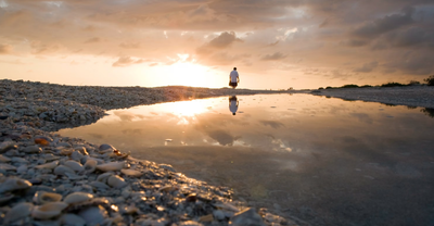 Which of The World's Popular Shelling Beaches Are Running Out Of Shells And Why?