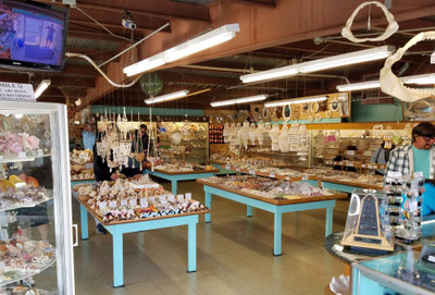 Where Is the Oldest Seashell Shop in the USA?