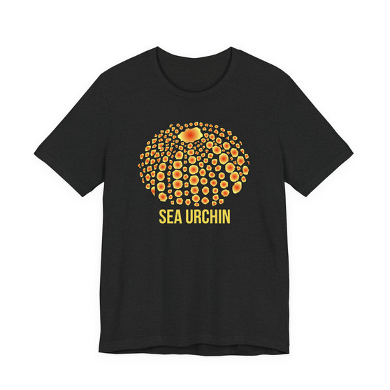Red and Yellow Sea Urchin Shell Graphic Tee (Seashell Lover Shirt, Marine Life Tee, Summer T-Shirt, Beach Outfit, Gift for Seashell Enthusiasts) - 4 Colors