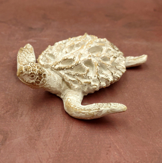 White Sea Turtle Tan Coral Shell Figurine (1 figure approx. 4+ inches) Rough White Tan Sea Turtle Statuette for decor gifts & collecting! Copyright 2025 SeaShellSupply.com.
