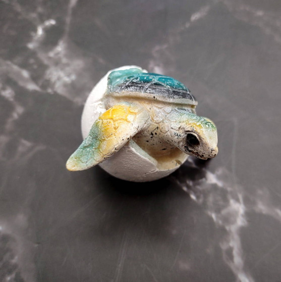 Sea Turtle Egg Hatchling Aqua Blue Shell (1 sea turtle approx. 2+ inches) Blue Painted Resin Baby Sea Turtle Egg for coastal home décor! Copyright 2025 SeaShellSupply.com.