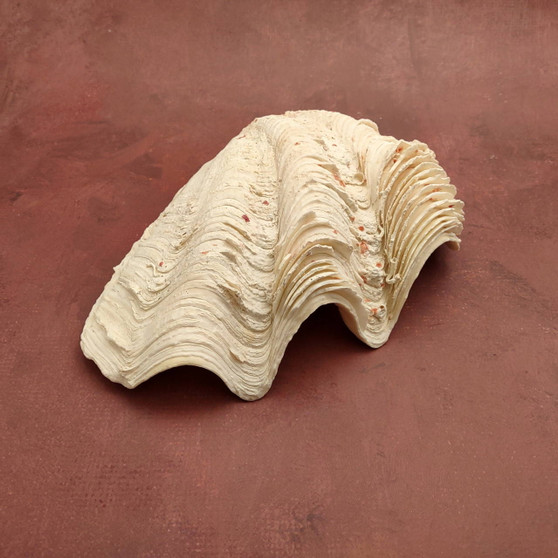 Wooden Sea Turtle Magnet Blue Hibiscus Flower (1 magnet approx. 2+ inches) Wood Sea Turtle Magnet gift for fridges cabinets doors! Copyright 2025 SeaShellSupply.com.