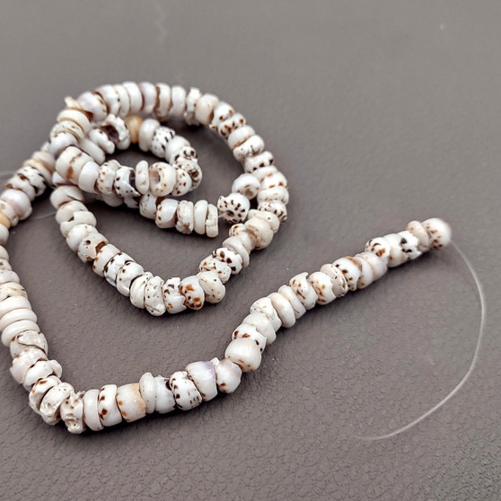 Tiger Puka Seashell Strand (1 strand approx. 15.5 inches x 4-5+ mm) Beautiful shell necklace neat for beach outfits or a classic gift!