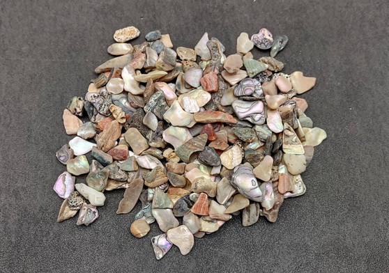 Abalone Chips (.25 cup approx. 180-210 chips .25 - .5 inches) (US-005). Pack of multiple differently shaped and colored shells in a pile. Copyright 2025 SeaShellSupply.com.