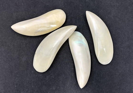 Polished Pearly Mussel Shells - (4 glued pairs approx. 3-3.5 inches). Four white thin strips with no openings or wrapping. Copyright 2022 SeaShellSupply.com.