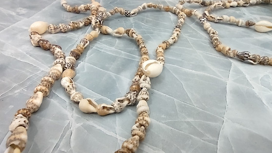 Natural Nassa Shell Leis (3 Leis Approx. .25 x 17 Inches each). Two Different assortment of shells on a necklace brown and tan grouping.Copyright 2022 SeaShellSupply.com.