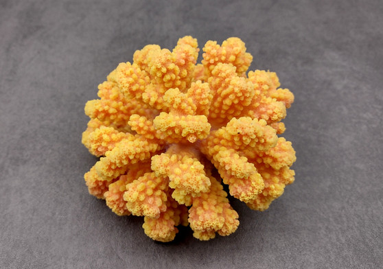 Yellow FAUX Coral Cluster Pocillopora Elegans (1 FAKE Coral approx