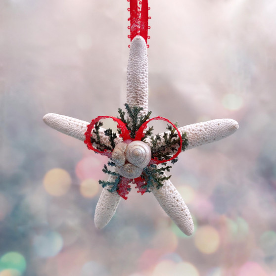White Starfish Christmas Ornament for Coastal Tree (1 Seastar approx. 4+ inches) Hanging Starfish Xmas Ornament for gifting & holiday decor! Copyright 2025 SeaShellSupply.com.
