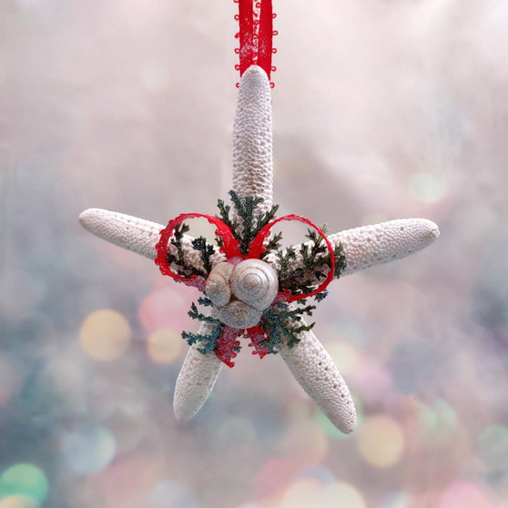 White Starfish Christmas Ornament for Coastal Tree (1 Seastar approx. 4+ inches) Hanging Starfish Xmas Ornament for gifting & holiday decor! Copyright 2025 SeaShellSupply.com.