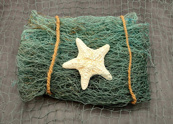 Blue Green Fishing Net (1 net approx. 4x9 feet) Fishing net for ocean displays art projects crafts & nautical themed parties! Beautiful pastel blue fishing net for any occasion! Copy right 2024 SeaShellSupply.com