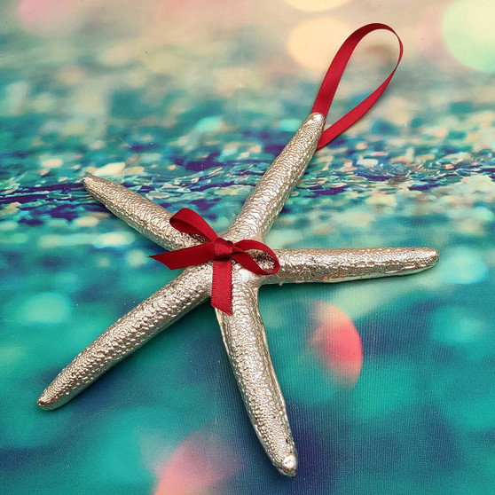 Silver Dipped Starfish Xmas Ornament (1 seastar approx. 5+ inches) Real Starfish Silver Christmas Ornament for seashell holiday gifting joy! Copyright 2025 SeaShellSupply.com.