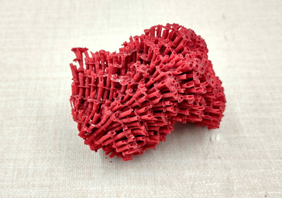 Light Red Pipe Organ Coral Tubipora Musica (1 coral approx. 3+ inches) B GRADE Great coral to add to any collection or display! Red textured flayed coral. Copy right 2024 SeaShellSupply.com\n