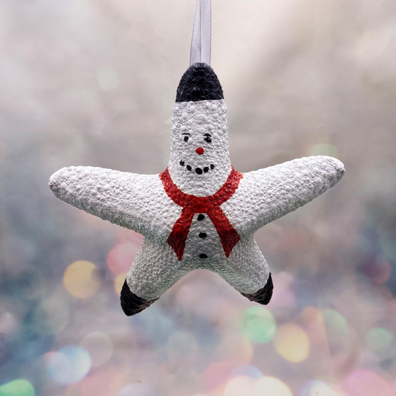 Jungle Starfish Snowman Jungle Starfish Ornament (1 seastar approx. 6+ inches) Real Festive Starfish Xmas Hanging Ornament! Copyright 2025 SeaShellSupply.com