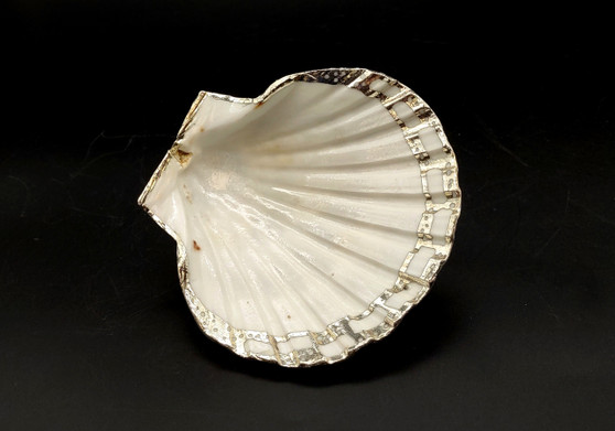 Silver Edged Scallop Seashell Dish Pecten Maximus (1 dish approx. 4.5+ inches) RECTANGLE PATTERN scallop shell dish for a coastal home!