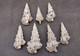 Knobby Cerithium Seashells White Black Cerithium Nodulosum (3 shells ...