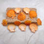 Pumpkin Orange Scallop Seashell Halves Noble Pecten Nobolis (Approx. quarter pound shells 2+ inches) Orange Scallop Shells for crafts! Copyright 2025 SeaShellSupply.com.