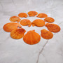 Pumpkin Orange Scallop Seashell Halves Noble Pecten Nobolis (Approx. quarter pound shells 2+ inches) Orange Scallop Shells for crafts! Copyright 2025 SeaShellSupply.com.