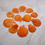 Pumpkin Orange Scallop Seashell Halves Noble Pecten Nobolis (Approx. quarter pound shells 2+ inches) Orange Scallop Shells for crafts! Copyright 2025 SeaShellSupply.com.