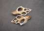 Center Cut Large Fox Seashells (2 shells approx. 5+ inches) Quality center cut shells for ocean decor art projects crafts & collecting!