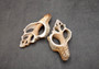Center Cut Large Fox Seashells (2 shells approx. 5+ inches) Quality center cut shells for ocean decor art projects crafts & collecting!