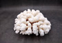 Brownstem White Coral Cluster Pocillopora Verrucosa (1 coral approx. 6L x 3H x 5.5D inches) Coral for home display & decor!