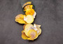 Golden Yellow Scallop Shell Halves Noble Pecten Nobolis (Approx. quarter pound shells 2+ inches) Scallop seashells for arts & crafts!