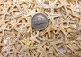 Mini Tan Starfish - Archaster Typicus - (approx. 45-50 starfish .5-1 inch). Multiple orange and tan starfish in a pile. Copyright 2025 SeaShellSupply.com