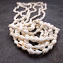 White Nassa Shell Necklace Leis (3 leis approx. 0.20+ inch x 34 inch CIRCUMFERENCE) Beautiful seashell necklace for beach outfits or a gift! Copyright 2026 SeaShellSupply.com.