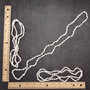 White Nassa Shell Necklace Leis (3 leis approx. 0.20+ inch x 34 inch CIRCUMFERENCE) Beautiful seashell necklace for beach outfits or a gift! Copyright 2026 SeaShellSupply.com.