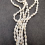 White Nassa Shell Necklace Leis (3 leis approx. 0.20+ inch x 34 inch CIRCUMFERENCE) Beautiful seashell necklace for beach outfits or a gift! Copyright 2026 SeaShellSupply.com.