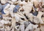 Image of Small Coral Pieces Blue White Brown Mix (approx. 1 pound 0.5-1.5+ inches) Assorted coral chunks for coastal art craft projects or display!