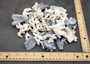 Image of Small Coral Pieces Blue White Brown Mix (approx. 1 pound 0.5-1.5+ inches) Assorted coral chunks for coastal art craft projects or display!