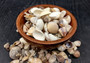 Small Mixed Shell Assortment. Multiple brightly colored shells with different shapes and textures in a tile. Copyright 2025 SeaShellSupply.com.