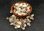 Small Mixed Shell Assortment. Multiple brightly colored shells with different shapes and textures in a tile. Copyright 2025 SeaShellSupply.com.
