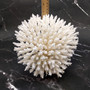 White Table Coral Cluster Large Centerpiece Acropora Latistella (1 coral 8L x 6.5H x 6.5D) Large White Table Coral for home decor & display!