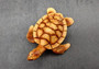 Sea Turtle Figurine Brown Wood Style (1 turtle approx. 3+ inch long) Resin sea turtle figurine for coastal beach home display & decoration!