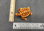 Sea Turtle Figurine Brown Wood Style (1 turtle approx. 3+ inch long) Resin sea turtle figurine for coastal beach home display & decoration!