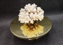 Brownstem White Cauliflower Coral Cluster (1 coral approx. 5.5L x 4H x 5D inches) Brown White Coral for coastal home display & decor!