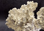 Light Green Fire Coral Cluster (1 coral 10L x 6.5H x 7D inches) Mint Green Medium Fire Coral for any coastal reef display or collection! Copyright 2025 SeaShellSupply.com.