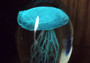 Jellyfish Glass Egg Green Yellow Blue Paperweight Glow In The Dark (1 figurine approx. 4.5 inches tall) Glass Sea Jellies make great gifts! Jellyfish Glass Egg Green Yellow Blue Paperweight Glow In The Dark (1 figurine approx. 4.5 inches tall) Glass Sea Jellies make great gifts!