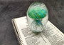 Jellyfish Glass Egg Green Yellow Blue Paperweight Glow In The Dark (1 figurine approx. 4.5 inches tall) Glass Sea Jellies make great gifts! Jellyfish Glass Egg Green Yellow Blue Paperweight Glow In The Dark (1 figurine approx. 4.5 inches tall) Glass Sea Jellies make great gifts!