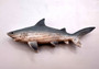 Great White Shark Figurine Wood Grain Resin (1 shark approx. 6+ inch) Brown Blue Wood Grain Shark figure for beach home décor & display!