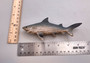 Great White Shark Figurine Wood Grain Resin (1 shark approx. 6+ inch) Brown Blue Wood Grain Shark figure for beach home décor & display!