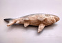 Great White Shark Figurine Wood Grain Resin (1 shark approx. 6+ inch) Brown Blue Wood Grain Shark figure for beach home décor & display!