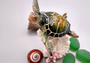 Green Sea Turtle Figurine on Coral Painted Resin (1 turtle approx. 5+ inches) Green Painted Resin Turtle Figure for coastal home décor! Copyright 2025 SeaShellSupply.com.